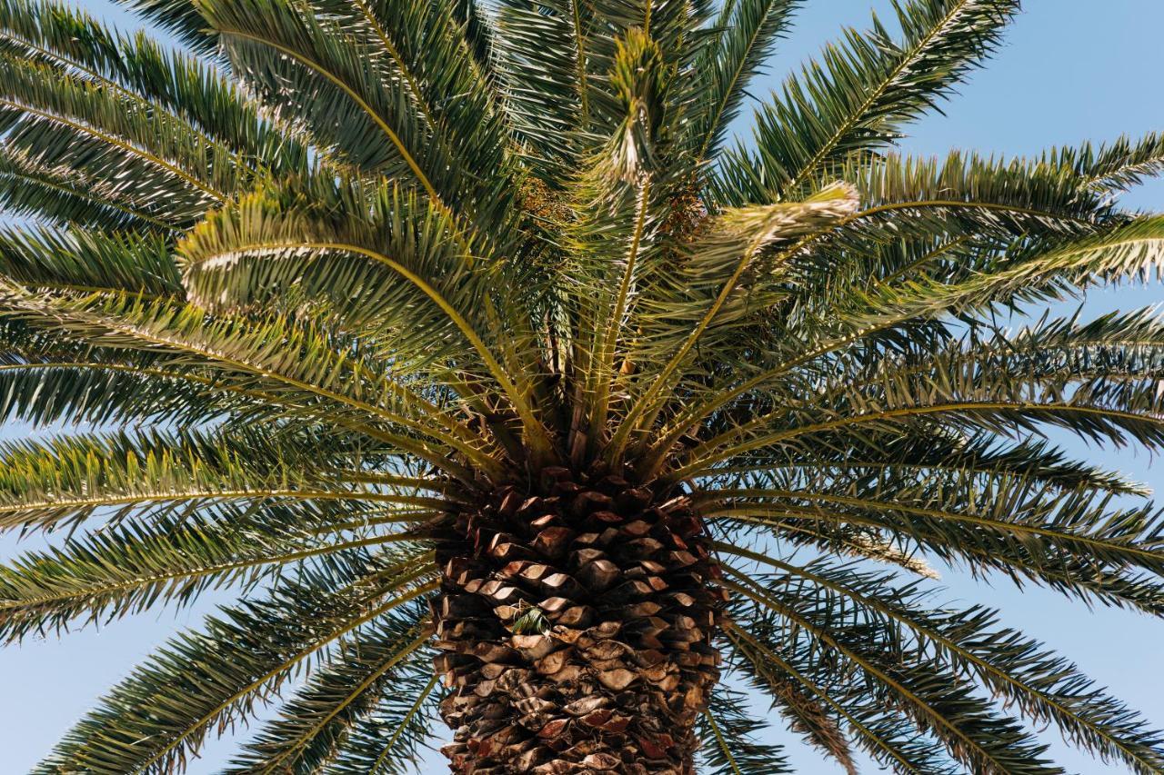 La Palmera - Fabulosa Casa, Lanzarote, Playa Honda Плайя-Онда Экстерьер фото